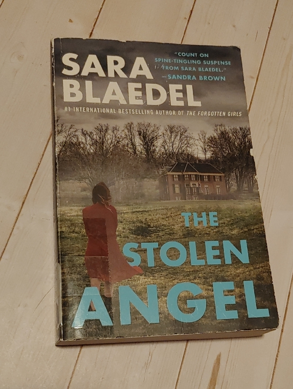 The Stolen Angel Adult Thriller Fiction Book By Sara Blaedel